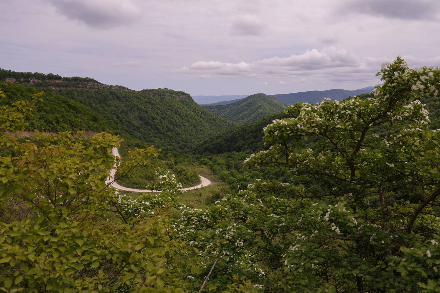 горы,лес,природа,пейзаж,кайтагский район,дагестан,, Magov Marat