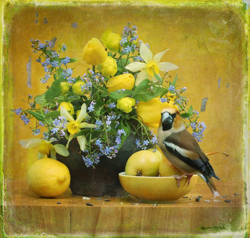 Натюрморт с бруннерой фото превью