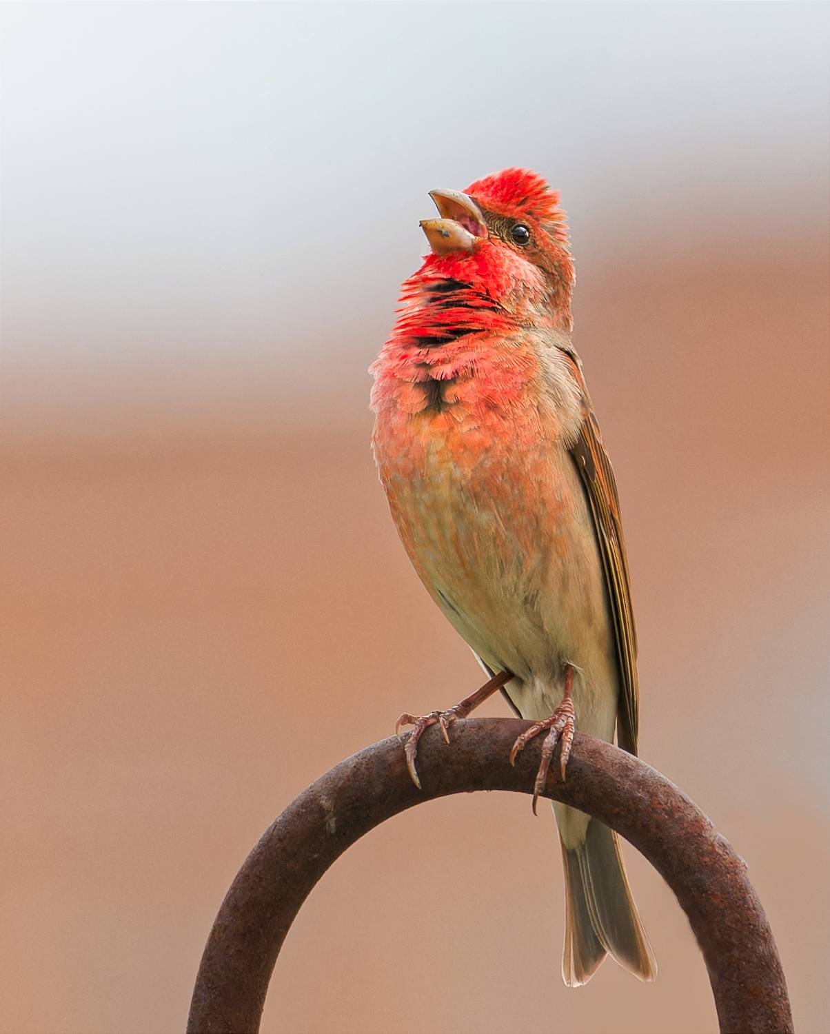 , Фото Александр
