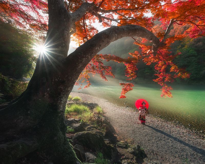 In Japan - Kyoto