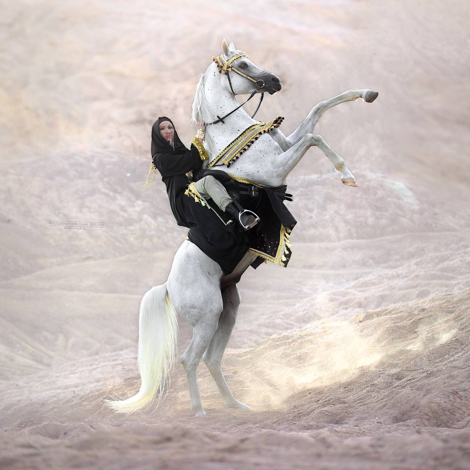 horse, horses, лошадь, конь, конныйфотограф, кэнон, конный фотограф Яна Орлова,  canon, 7020028, лошади, фотографияслошадью, фотосессияслошадью, фотосессиислошадьми, коннаяфотография, pferd, horsephotographer, женский портрет, девушка , Яна Орлова