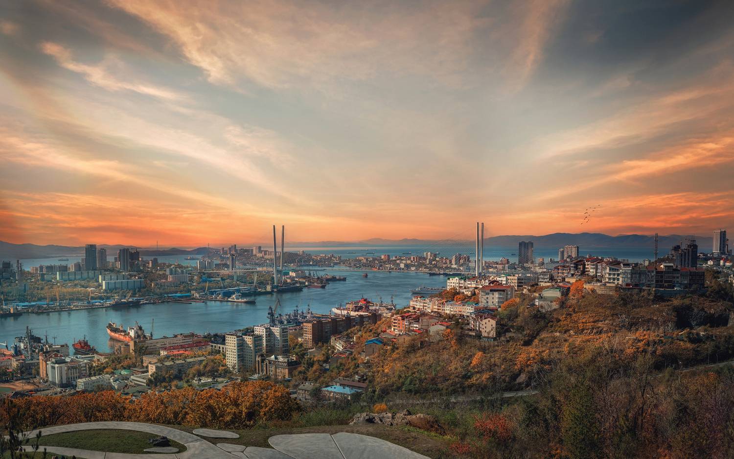 , Алена Литвин