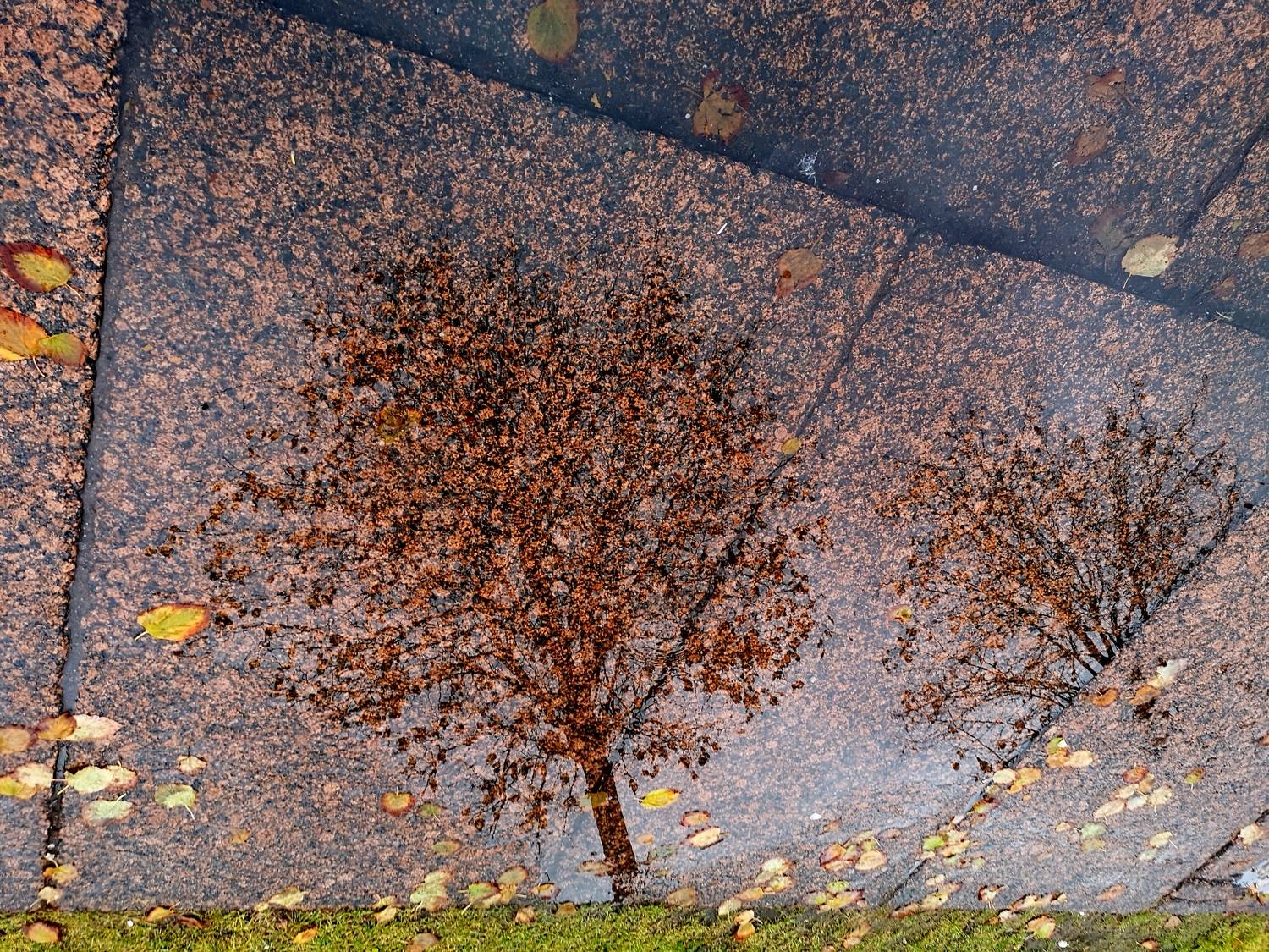 , Антон Лаба