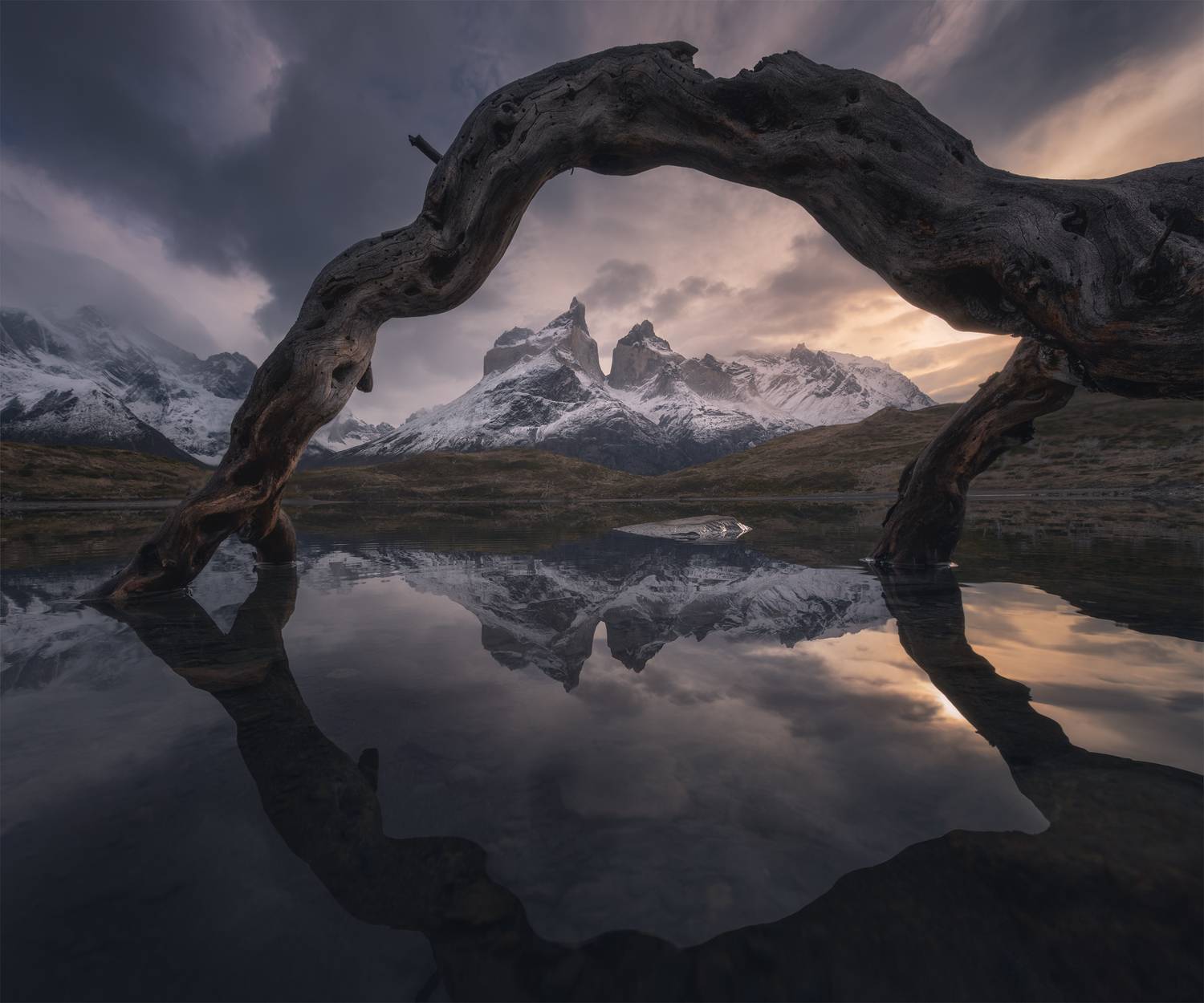 , Политова Анна