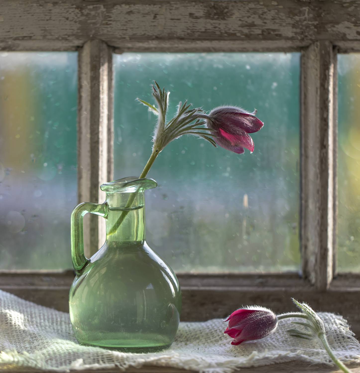 натюрморт, сон-трава, Tatyana Fedenkova