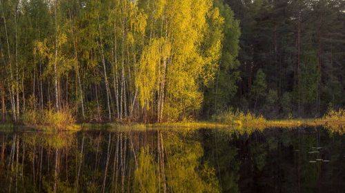 Суходол на закате