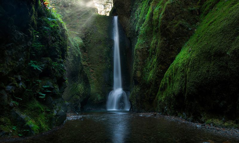 waterfall, green canyon, lush, Oregon, Oneonta gorge, Mystic Falls of Oneonta фото превью