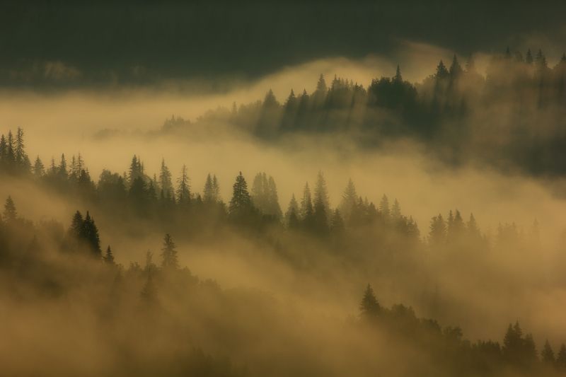 Утро фото превью