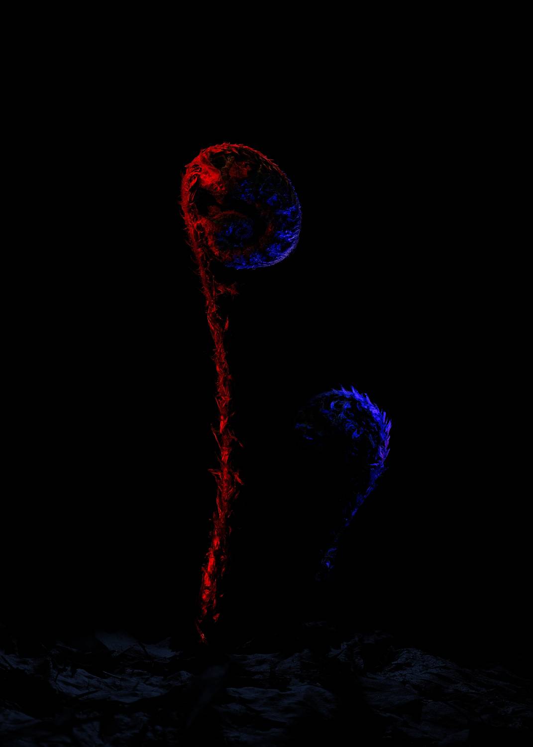 , Загруев Михаил