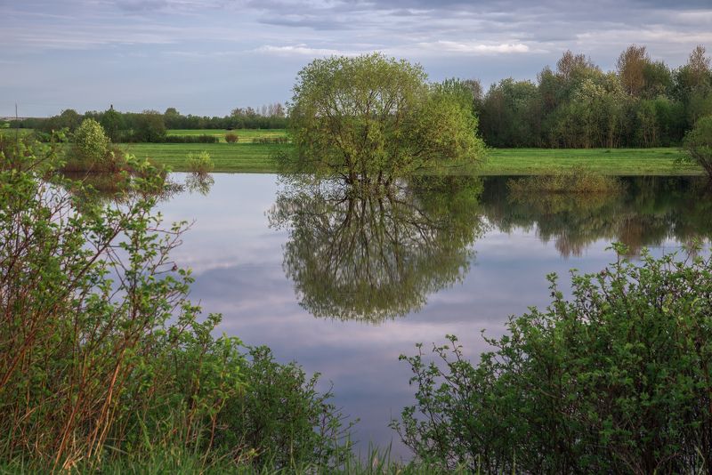 Весеннее половодье фото превью