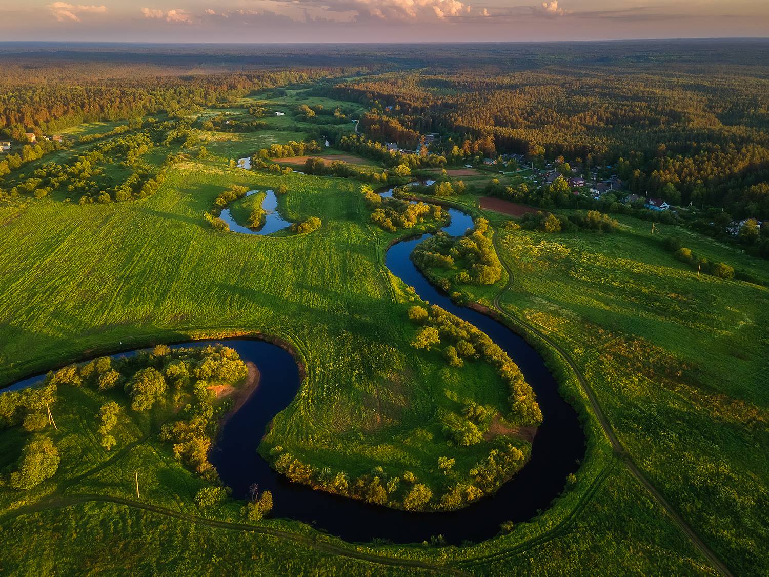 , Alexander Pashenichev