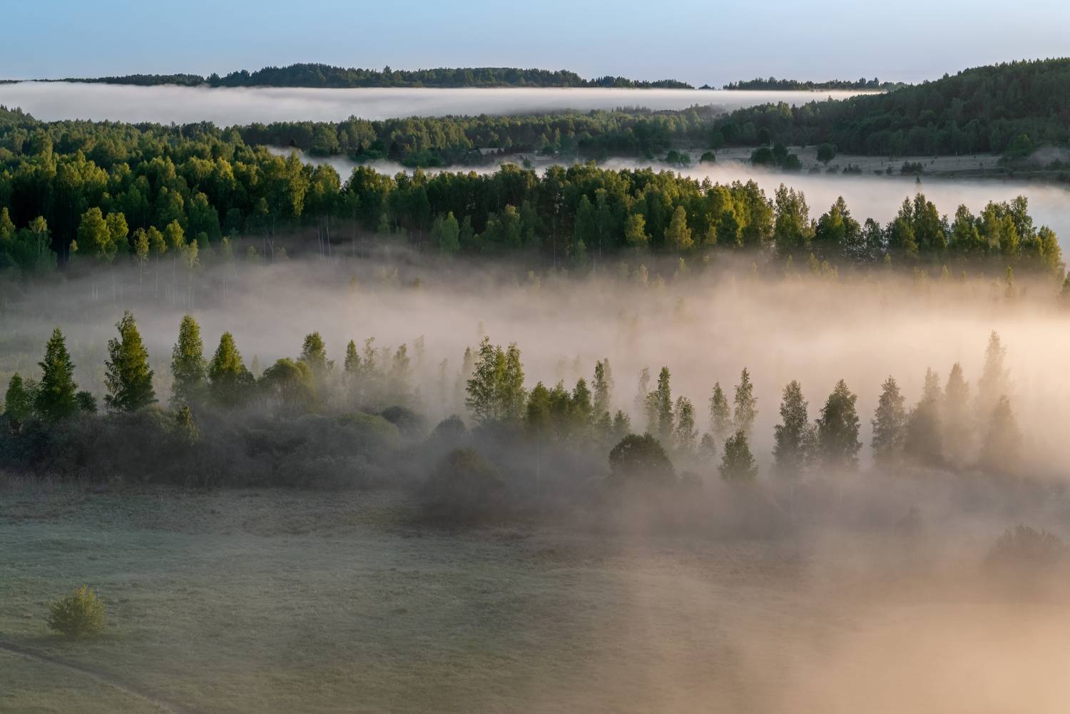 , Желенговский Виктор