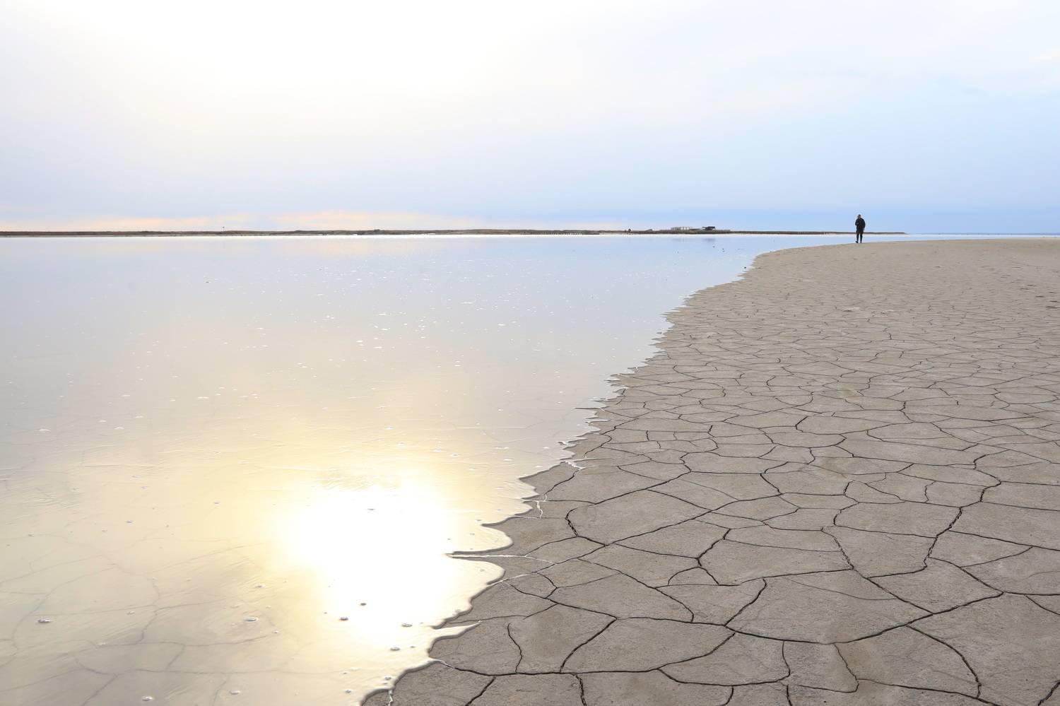 , Колосова Елена