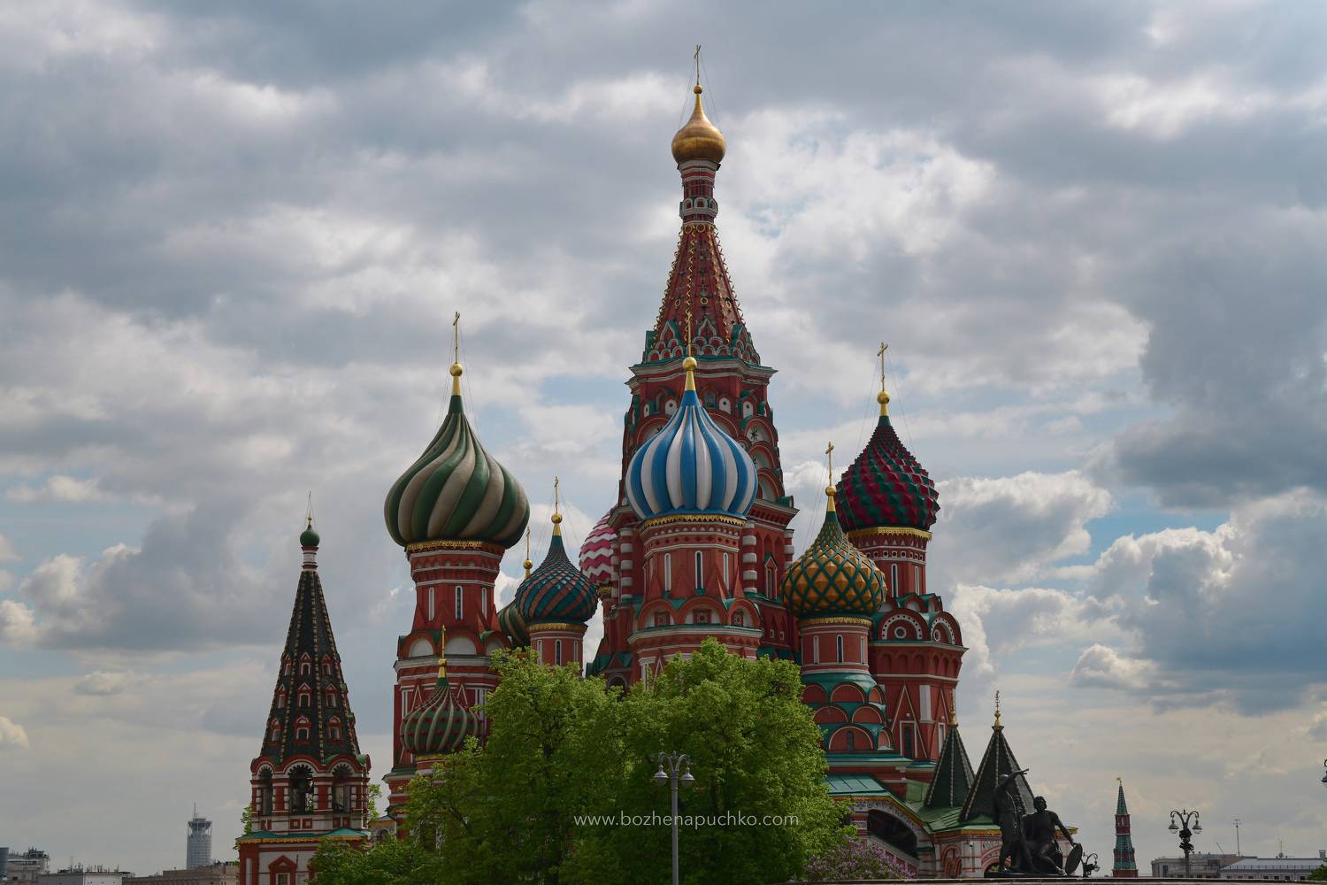 , Божена Пучко