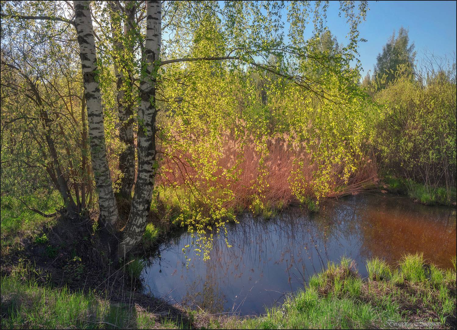 , Болеско Виктор