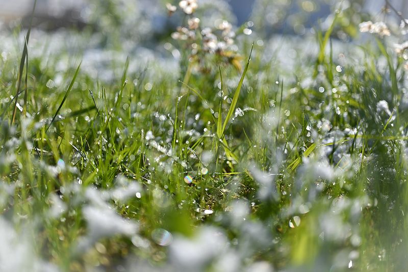 Зимняя роса фото превью