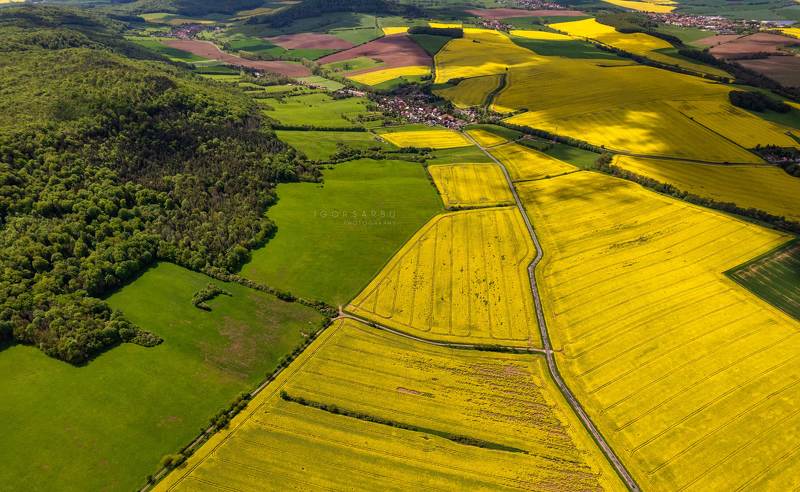 Spring carpet фото превью