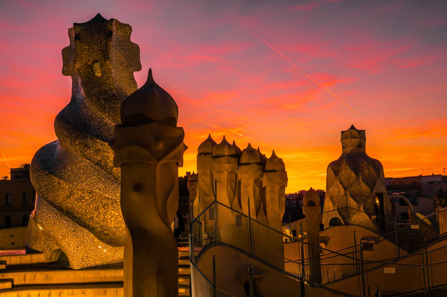 , Трепольский Дмитрий