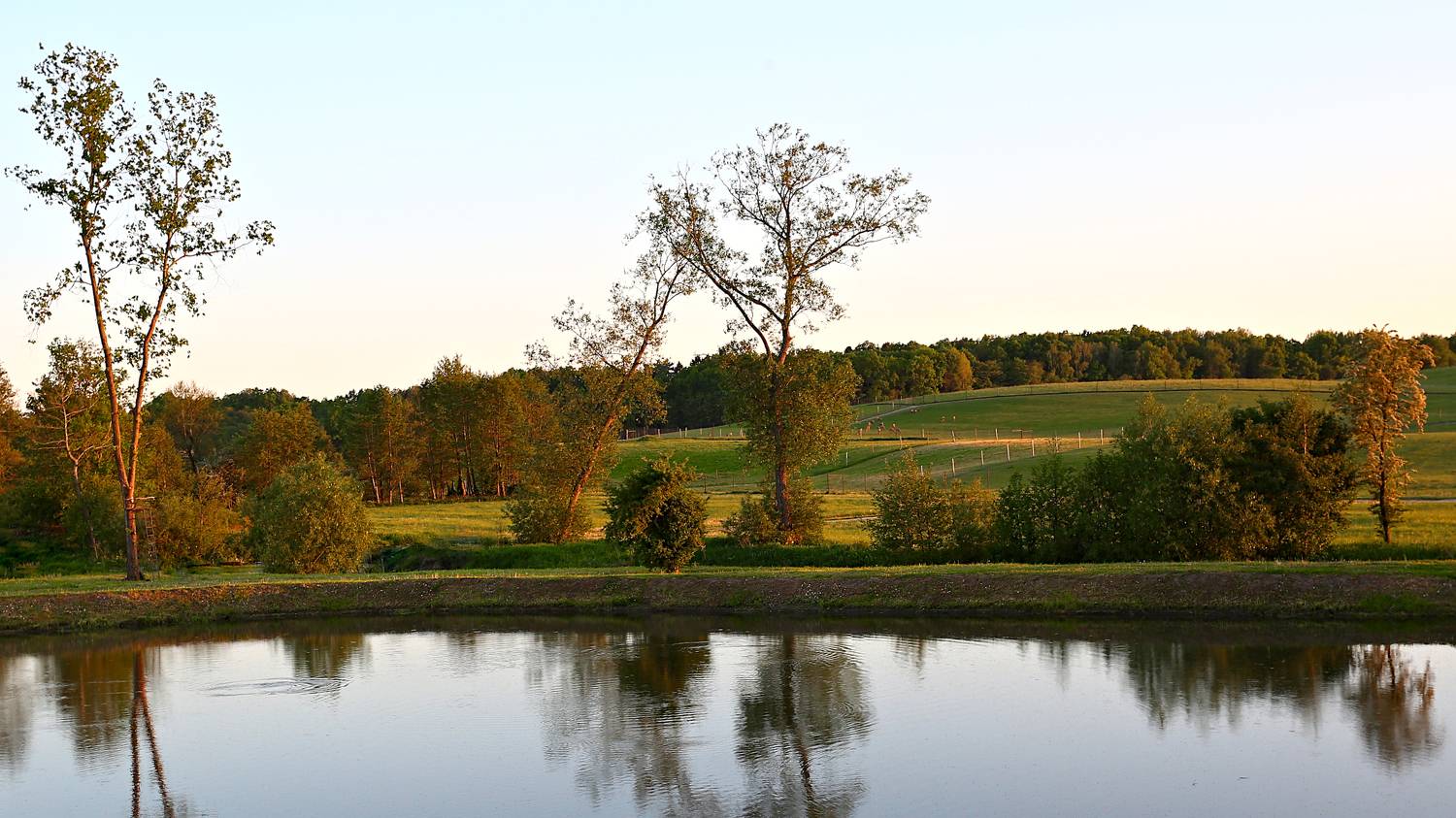 , Колобошников Эдуард