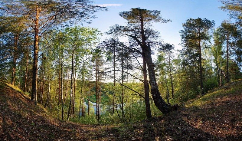 фото превью