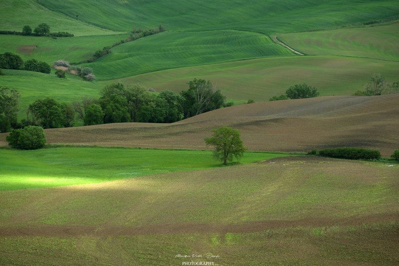 Toskana фото превью