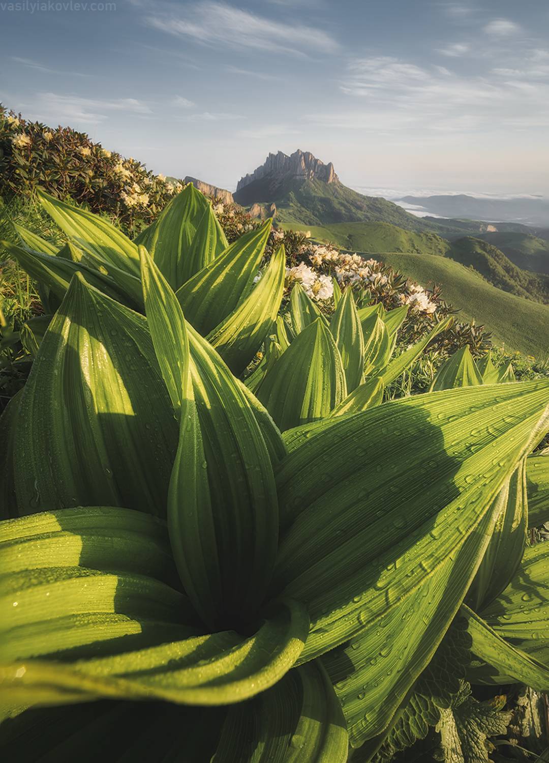 тхач, большой тхач, фототур, яковлевфототур, кавказ, адыгея, Василий Яковлев