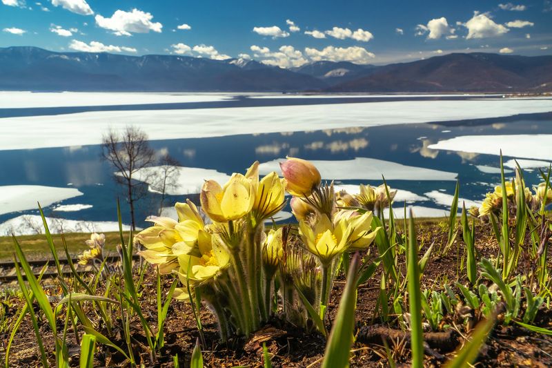 Тающие льды на КБЖД фото превью