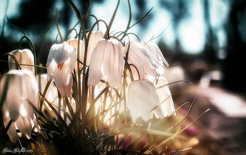 Палитра.мая.... фото превью