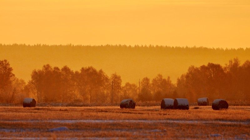 осеннее утро фото превью