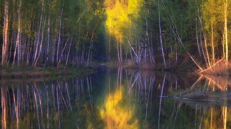 суворов, тула, бобриная карасятня Бобриная карасятня фото превью