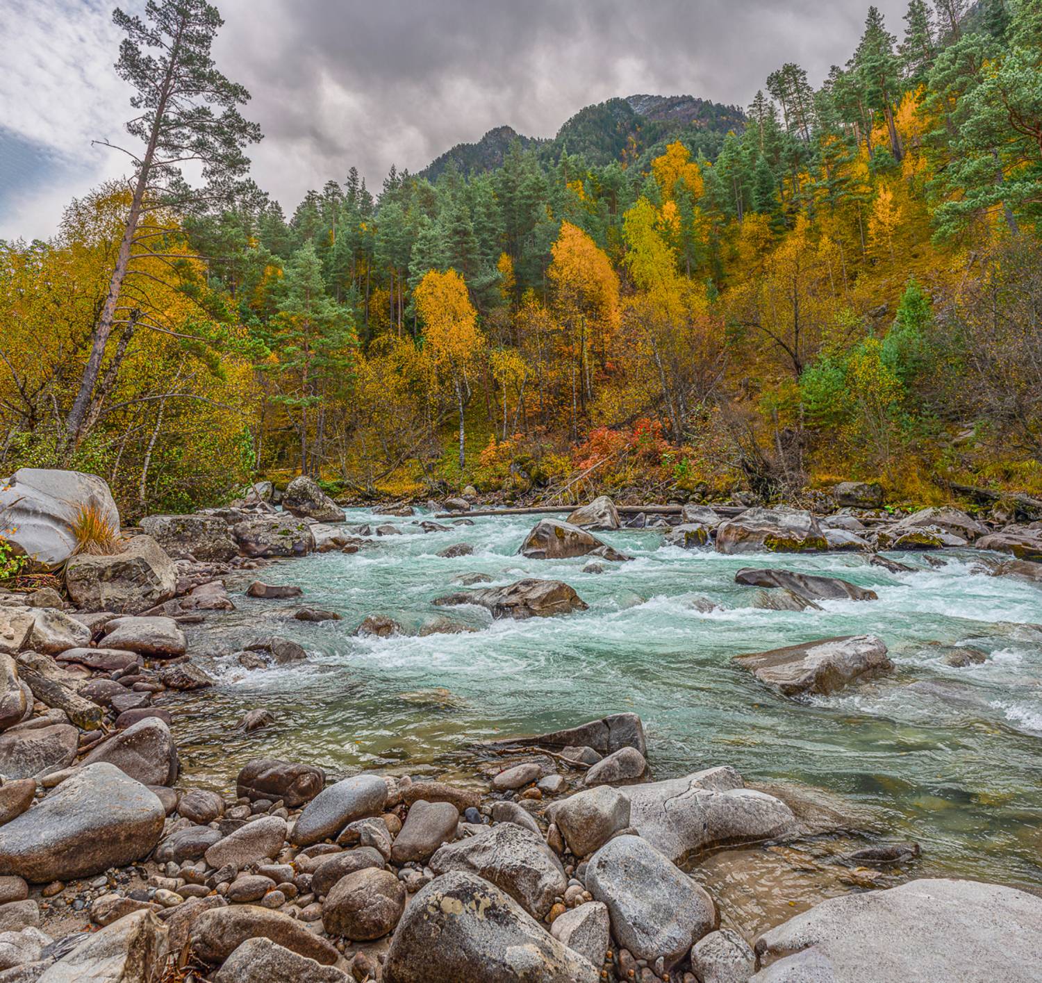 река лес горы, Anatoly
