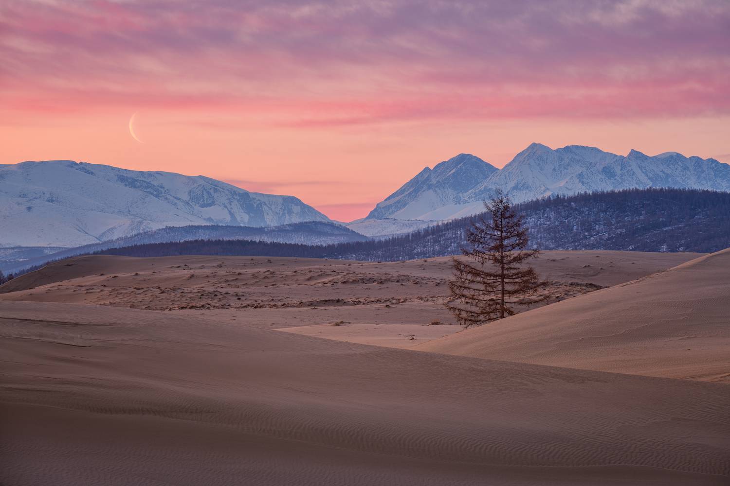 , Максим Евдокимов