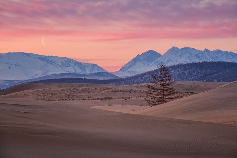 Утро под музыку луны.... фото превью