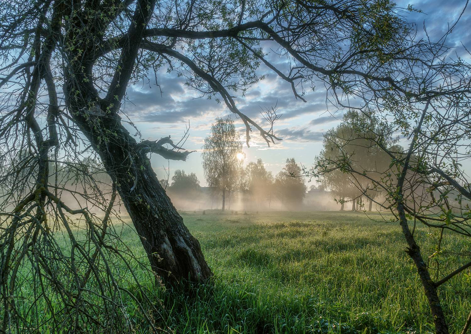 , Андреев Николай