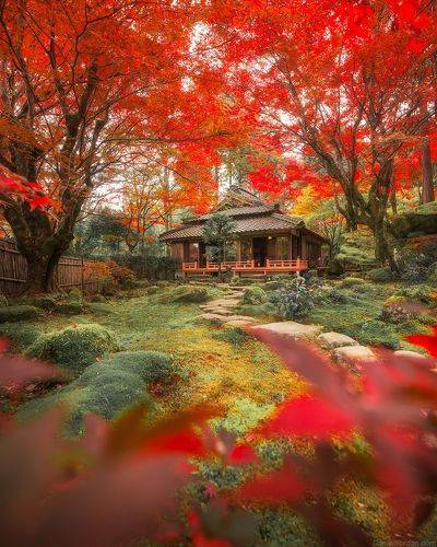 In Japan - Kyoto