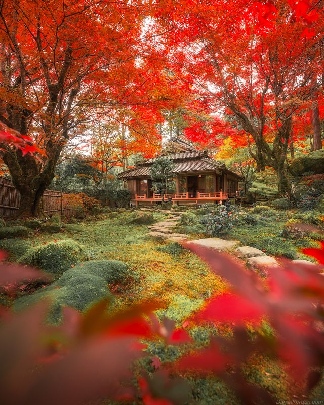 In Japan - Kyoto
