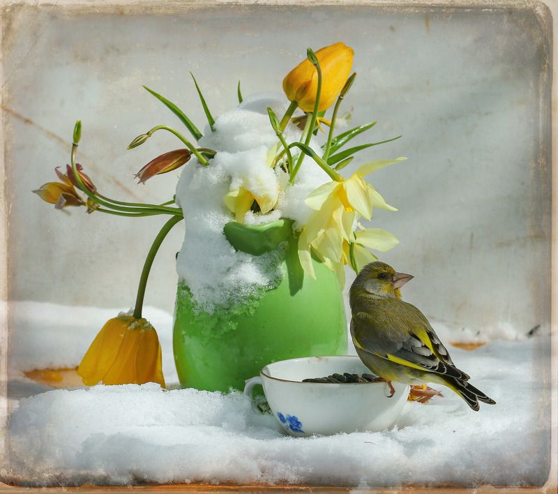 Утро 9 мая фото превью