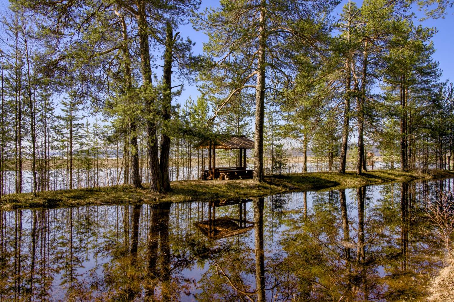 , Шишпанов Игорь