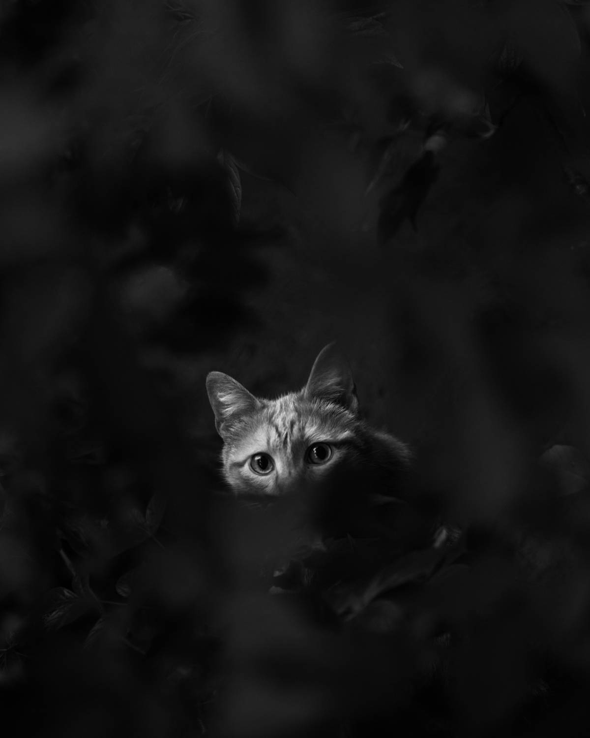 , Сергей Варыгин