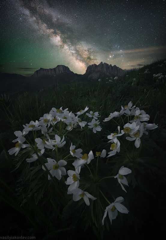 тхач, большой тхач, фототур, яковлевфототур, кавказ, адыгея Большой Тхач фото превью