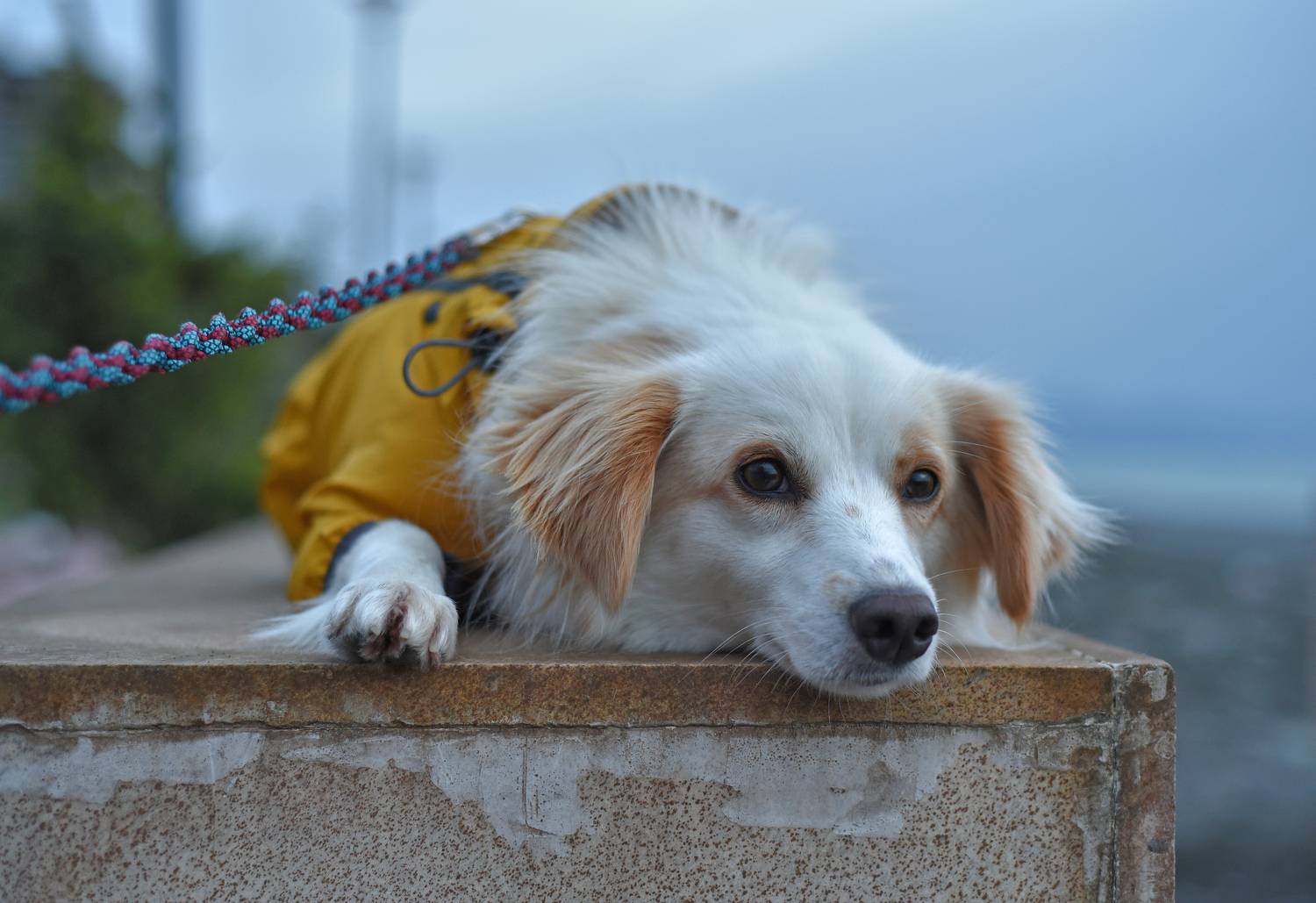 , Куликова Ирина