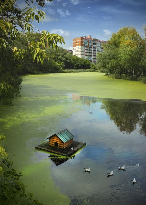 Курган фото превью