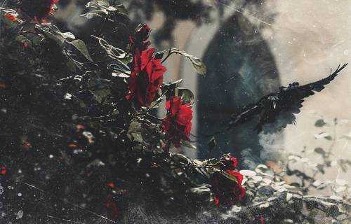 Музейная Готика.