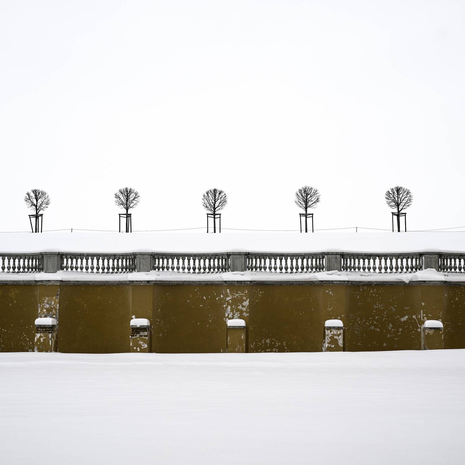 деревья, цвет, стена, красный, зима, снег, Астапкович Владимир