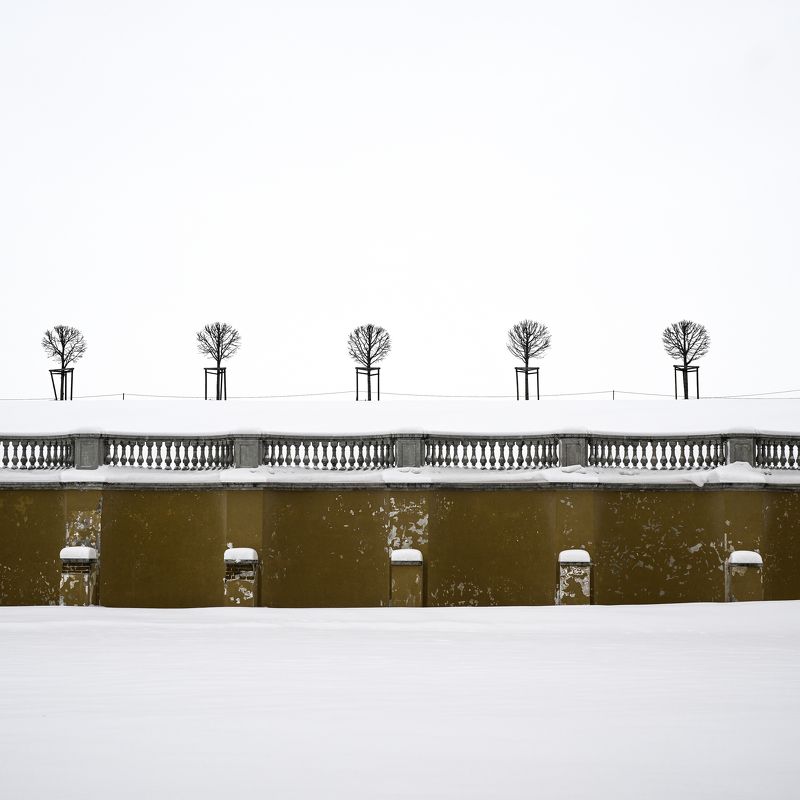 деревья, цвет, стена, красный, зима, снег  фото превью