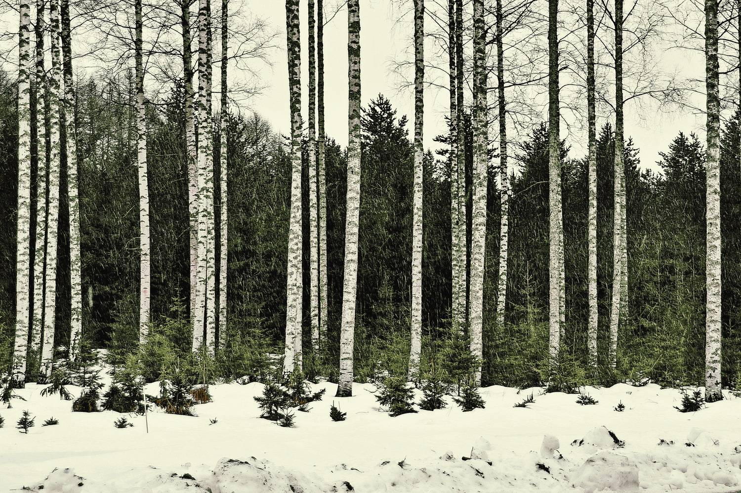 , Лидия Ушакова