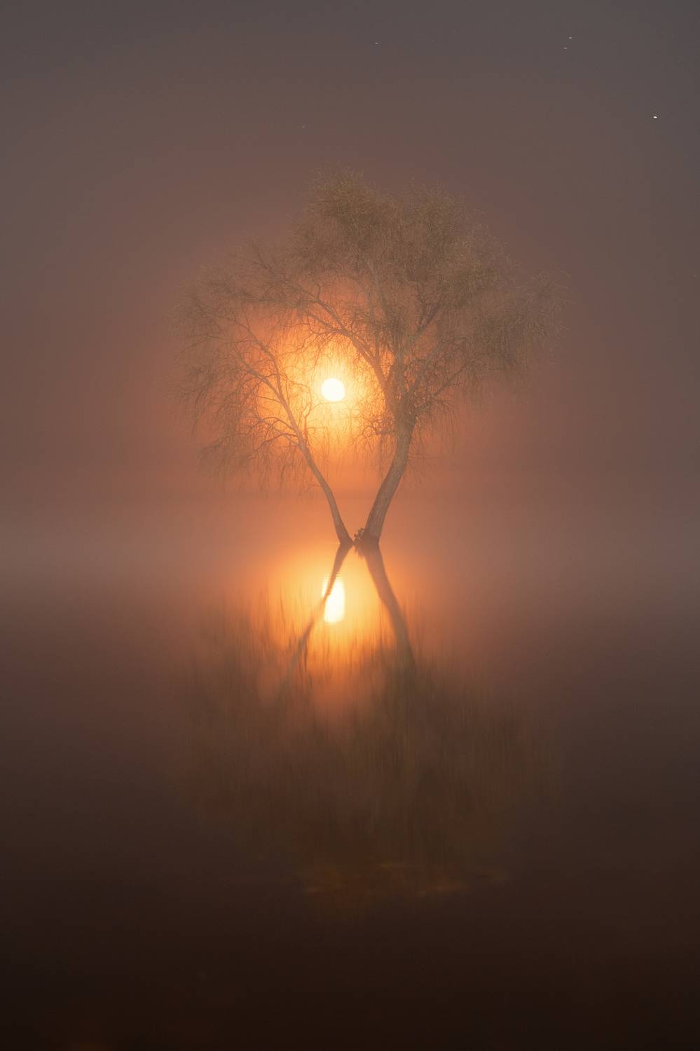 , Третьякова Анастасия