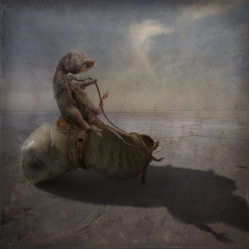 сюрреализм Прогулка фото превью