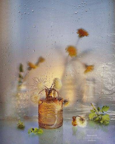 Стильный одуванчик