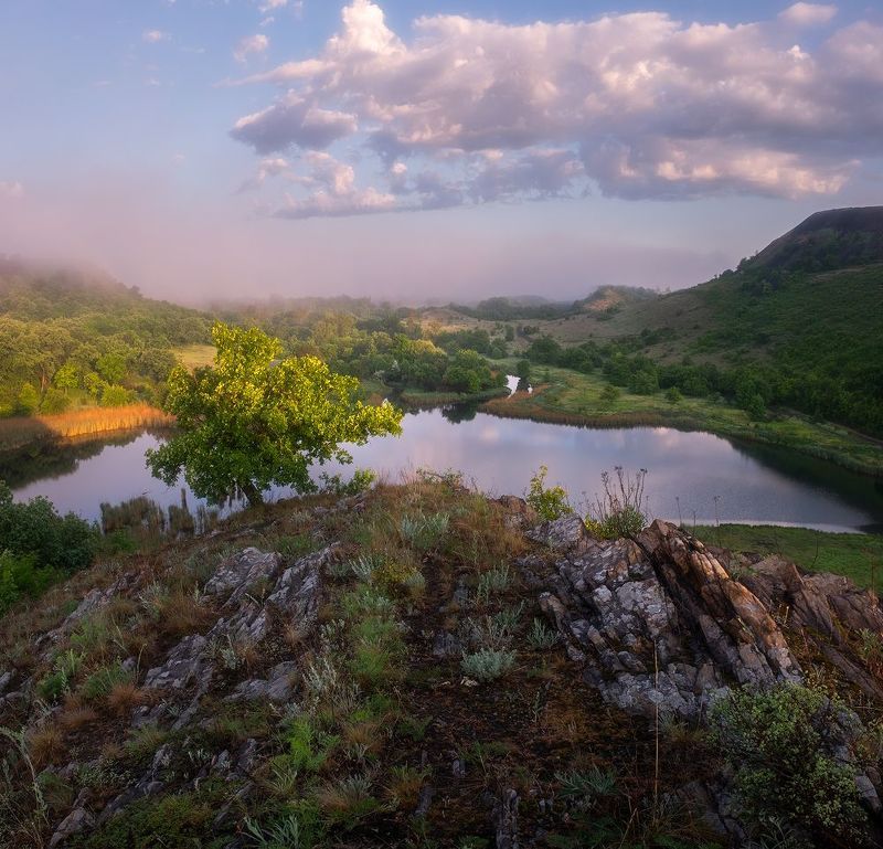 #ProMius фото превью